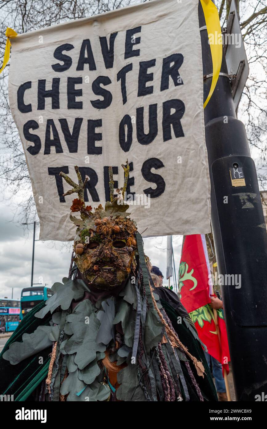 Chichester Road, Southend on Sea, Essex, Royaume-Uni. 23 mars 2024. Les manifestants défilent à travers la High Steet jusqu'aux bureaux du conseil à Southend on Sea pour manifester contre les plans visant à abattre un arbre ancien dans la ville. Organisé par Southend Tree action Group, les manifestants espèrent sauver le platane de Londres âgé de 150 ans (Platanus × acerifolia) – surnommé Chester d’après son emplacement sur Chichester Road – d’avoir été abattu en raison de la quantité d’espace de chaussée qu’il occupe près d’un carrefour routier achalandée et adjacent à un possible développement de logements Banque D'Images