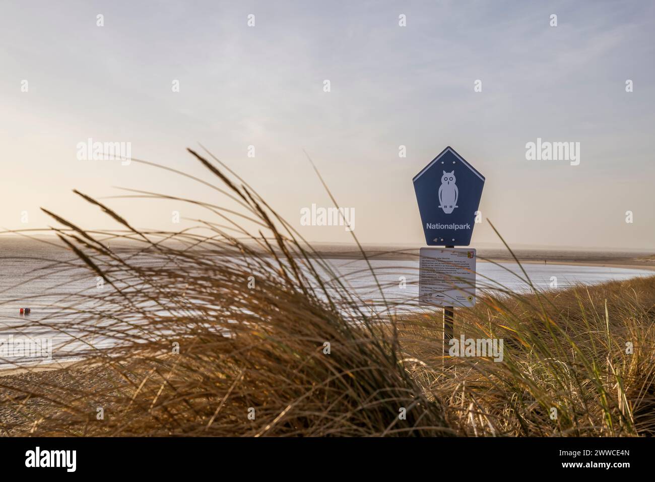 Allemagne, Schleswig-Holstein, Hornum, côte herbeuse de l'île de Sylt Banque D'Images