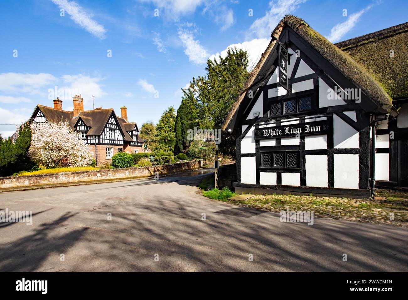Le White Lion A17e siècle noir et blanc à colombages toit de chaume inn dans le village de Cheshire de Barthomley Banque D'Images