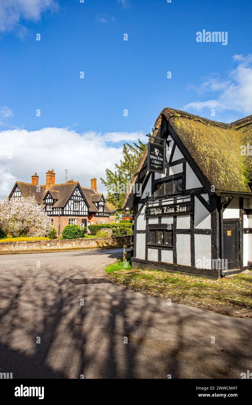 Le White Lion A17e siècle noir et blanc à colombages toit de chaume inn dans le village de Cheshire de Barthomley Banque D'Images