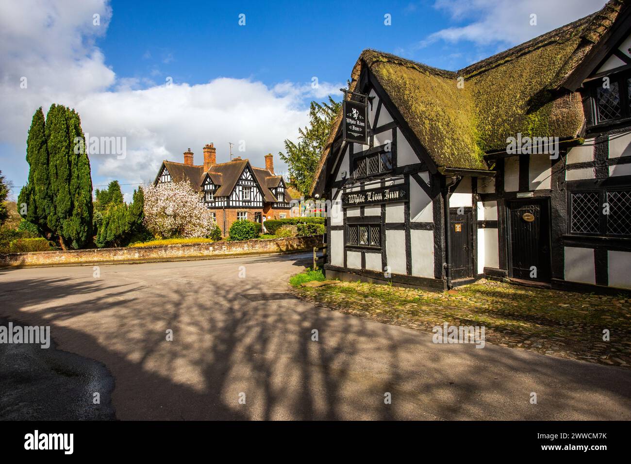 Le White Lion A17e siècle noir et blanc à colombages toit de chaume inn dans le village de Cheshire de Barthomley Banque D'Images