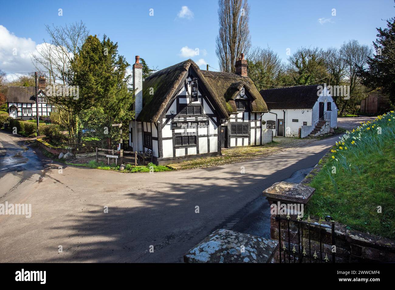 Le White Lion A17e siècle noir et blanc à colombages toit de chaume inn dans le village de Cheshire de Barthomley Banque D'Images