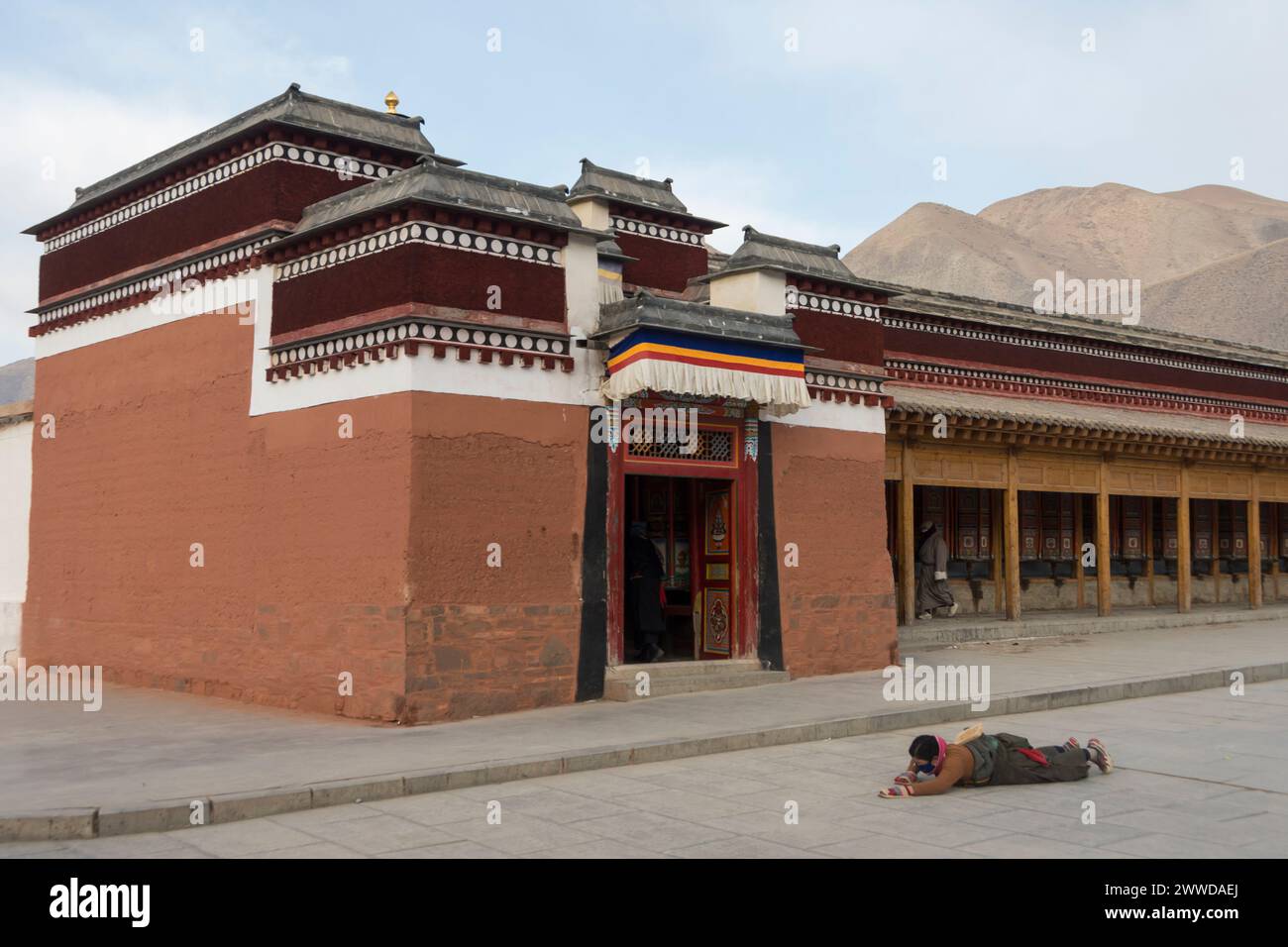 Pèlerin se prosternant le long des roues de prière autour du monastère de Labrang. Comté de Xiahe, préfecture autonome tibétaine du Gannan, Gansu, Chine Banque D'Images