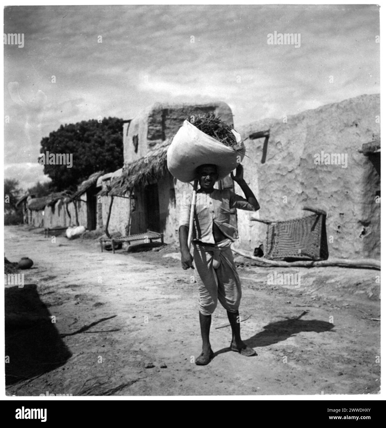 Une photographie de 1944 de Cecil Beaton pour le ministère de l'information montrant un villageois de Kathela, Pendjab, Inde, transportant une charge de paille utilisée pour le chaume. L'image illustre la vie rurale dans un village modèle pendant la période coloniale britannique. Banque D'Images