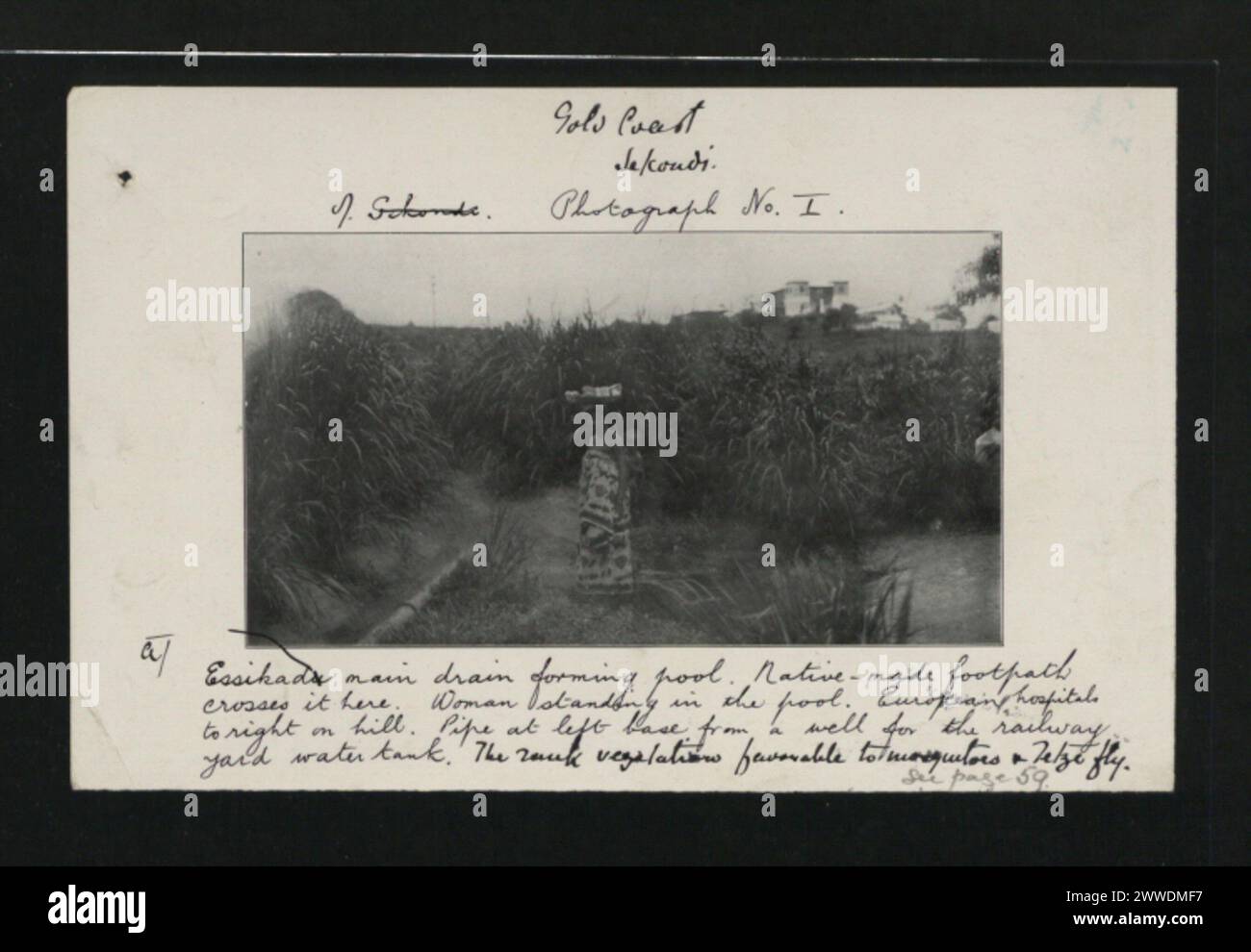 Le drain principal d'Esskadu à Sekondi, sur la Gold Coast, forme une piscine traversée par un sentier indigène, avec une femme debout dedans. Hôpitaux européens à proximité et un tuyau d'alimentation en eau du réservoir de triage ferroviaire. La végétation environnante soutient les moustiques et les mouches tsé-tsé. Banque D'Images