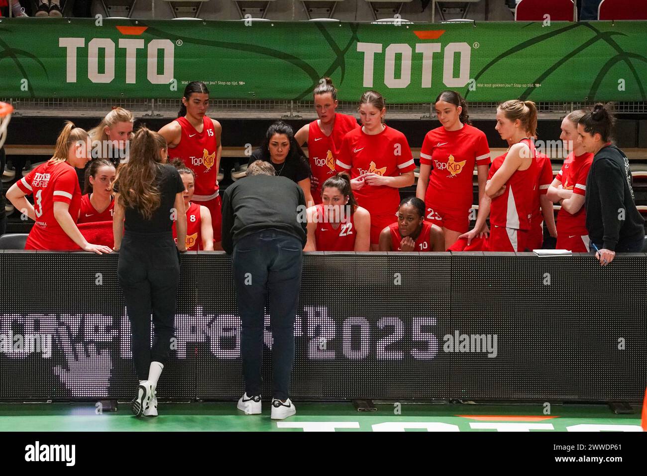 Almere, pays-Bas. 23 mars 2024. ALMERE, PAYS-BAS - 23 MARS : Time Out Lions lors de la finale de la TOTO Basketball Cup entre les Sportiff Grasshoppers et les Topkip Lions au Topsportcentrum le 23 mars 2024 à Almere, pays-Bas. (Photo par Andre Weening/Orange Pictures) crédit : Orange pics BV/Alamy Live News Banque D'Images