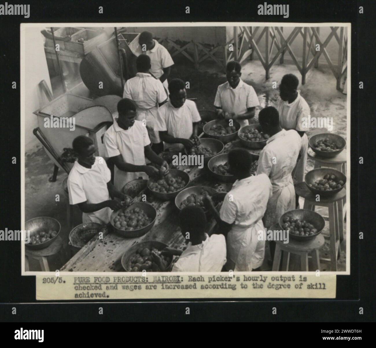 Description : 205/5. Le rendement horaire de chaque éplucheur est vérifié et les salaires sont augmentés en fonction du degré de compétence atteint. (Photo publiée en 1945) date : 1945 nourriture, kenya, nairobi, produits, pur, afrique, vintagekenya Banque D'Images
