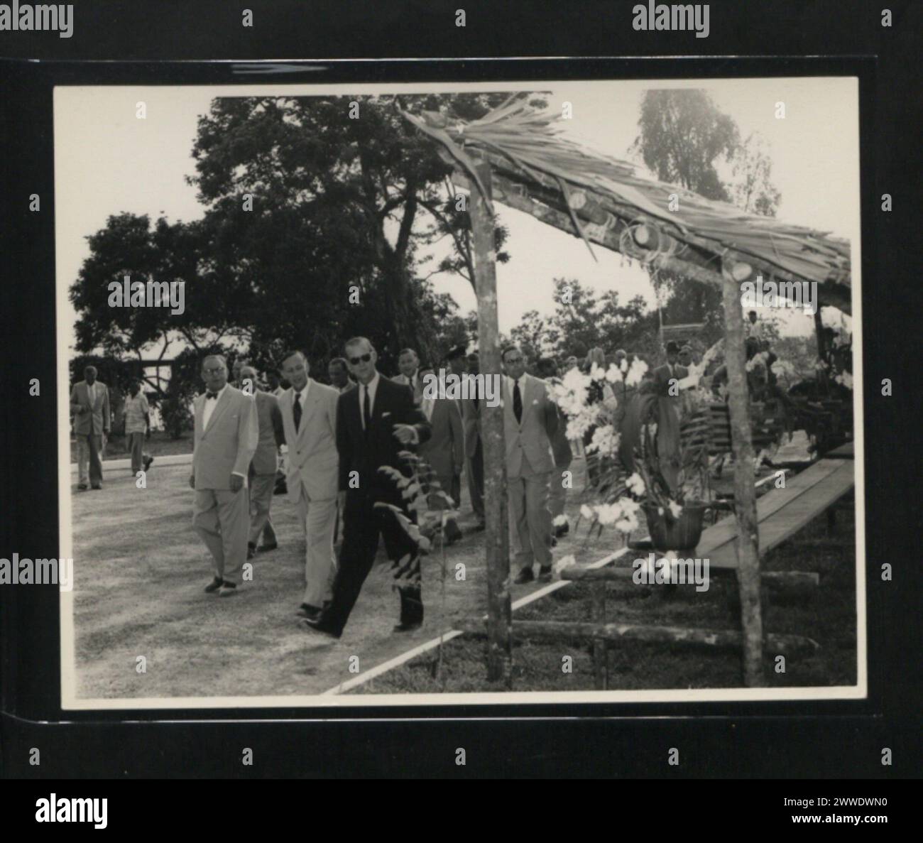 Photographie d'orchidées exposées lors d'une exposition à Bornéo, montrant diverses espèces d'orchidées disposées pour être vues par le public. Banque D'Images