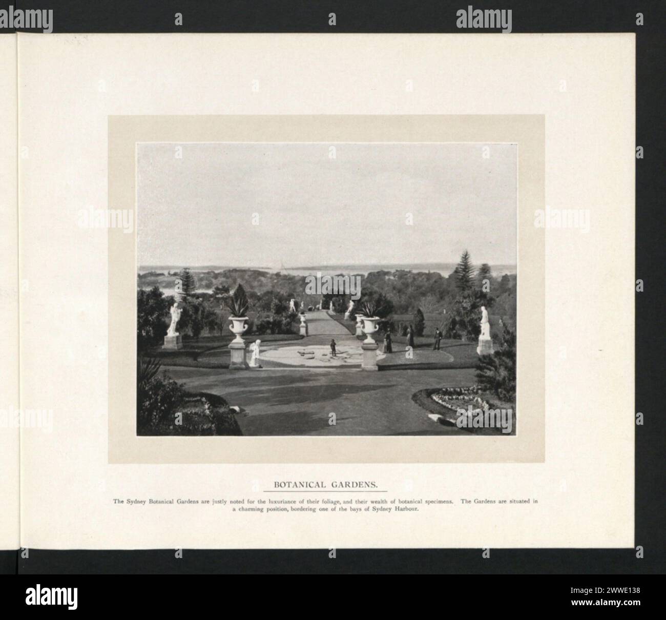 Les jardins botaniques de Sydney, en Nouvelle-Galles du Sud, en Australie, présentent diverses collections de plantes et un riche feuillage, situés le long d'une baie de la baie de Sydney. Banque D'Images