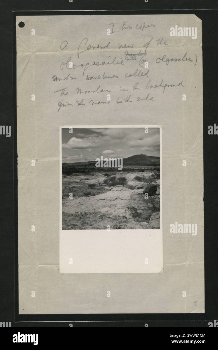 Description : photographies de fouilles archéologiques à Olorgesailie entreprises par les Leakeys dans les années 1940 Une vue générale du site Oloregesailie (ou Olgasalic) comme on l'appelle parfois la montagne en arrière-plan donne son nom au site. Lieu : Kenya date : 1940 afrique Banque D'Images