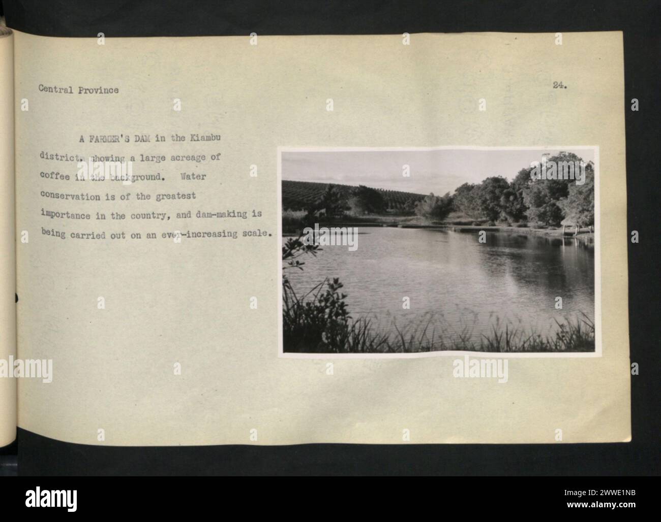 Le barrage d'un agriculteur du district de Kiambu, dans la province centrale du Kenya, est entouré de vastes plantations de café, illustrant les pratiques agricoles dans la région. Banque D'Images