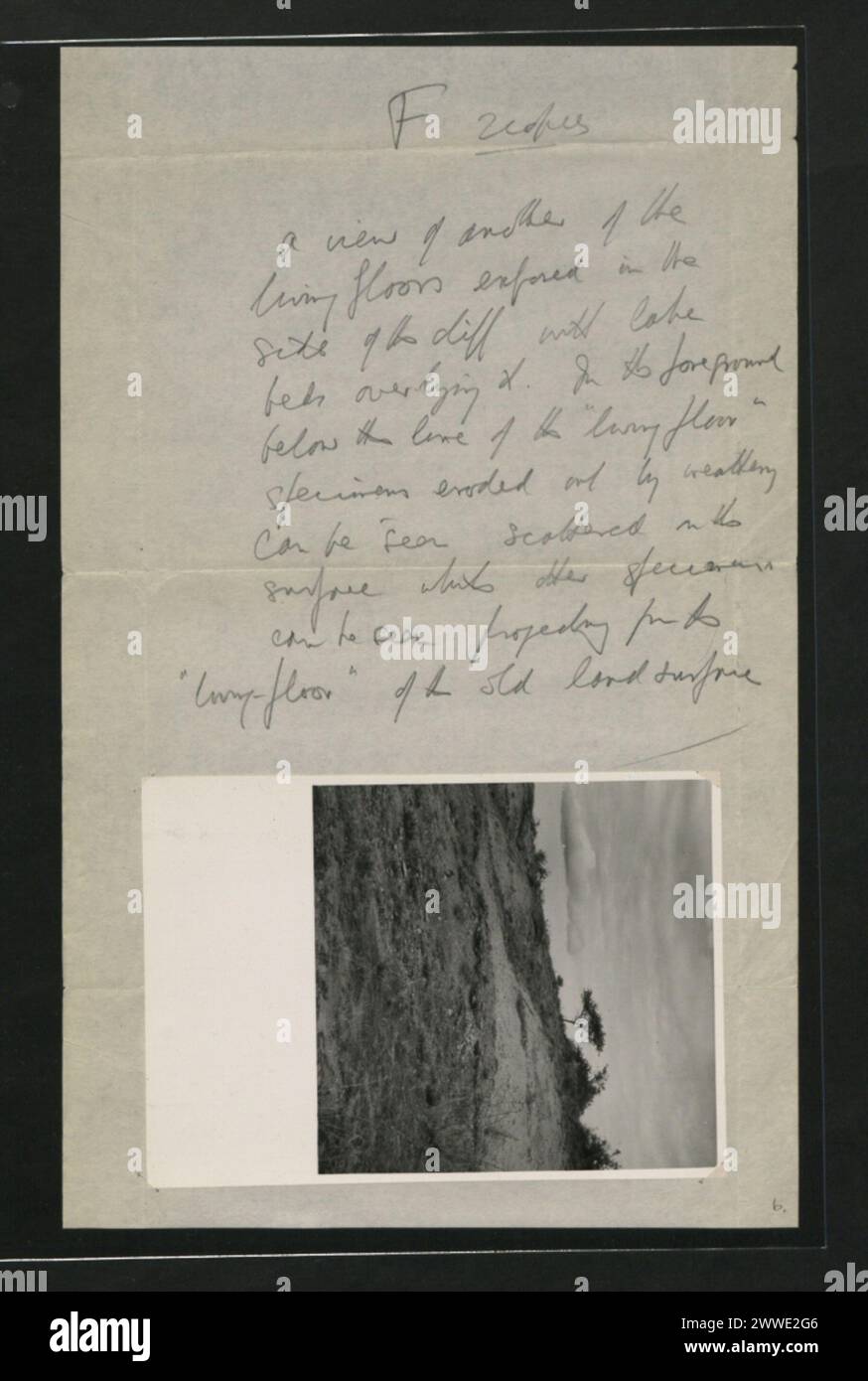 Description : photographies de fouilles archéologiques à Olorgesailie entreprises par les Leakeys dans les années 1940 F. 2 exemplaires. une vue d'un autre des planchers de vie exposés dans le site de la falaise avec des lits de lac qui le recouvrent. Lieu : Kenya date : 1940 afrique Banque D'Images