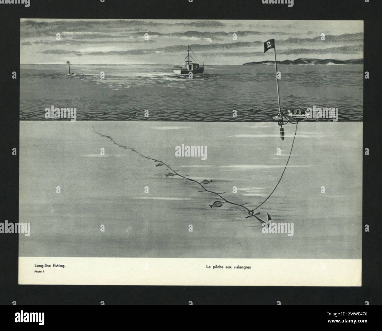 La pêche à la palangre au Canada, en 1963, utilise des lignes prolongées avec de multiples hameçons appâtés pour pêcher sur de grandes étendues d'eau. Banque D'Images
