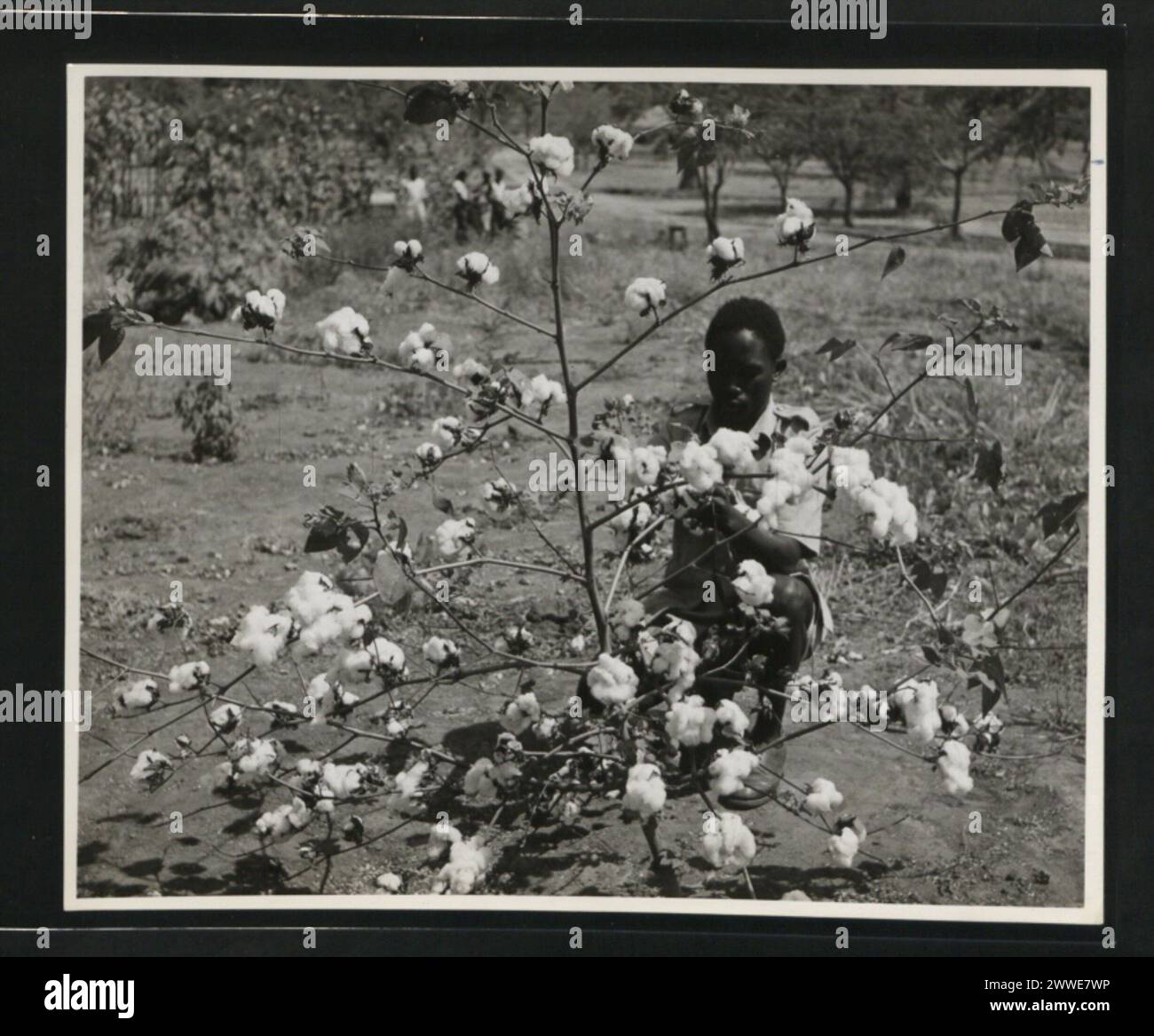 Le Tanganyika est une région d'Afrique, caractérisée par ses caractéristiques géographiques et ses divisions administratives. Banque D'Images