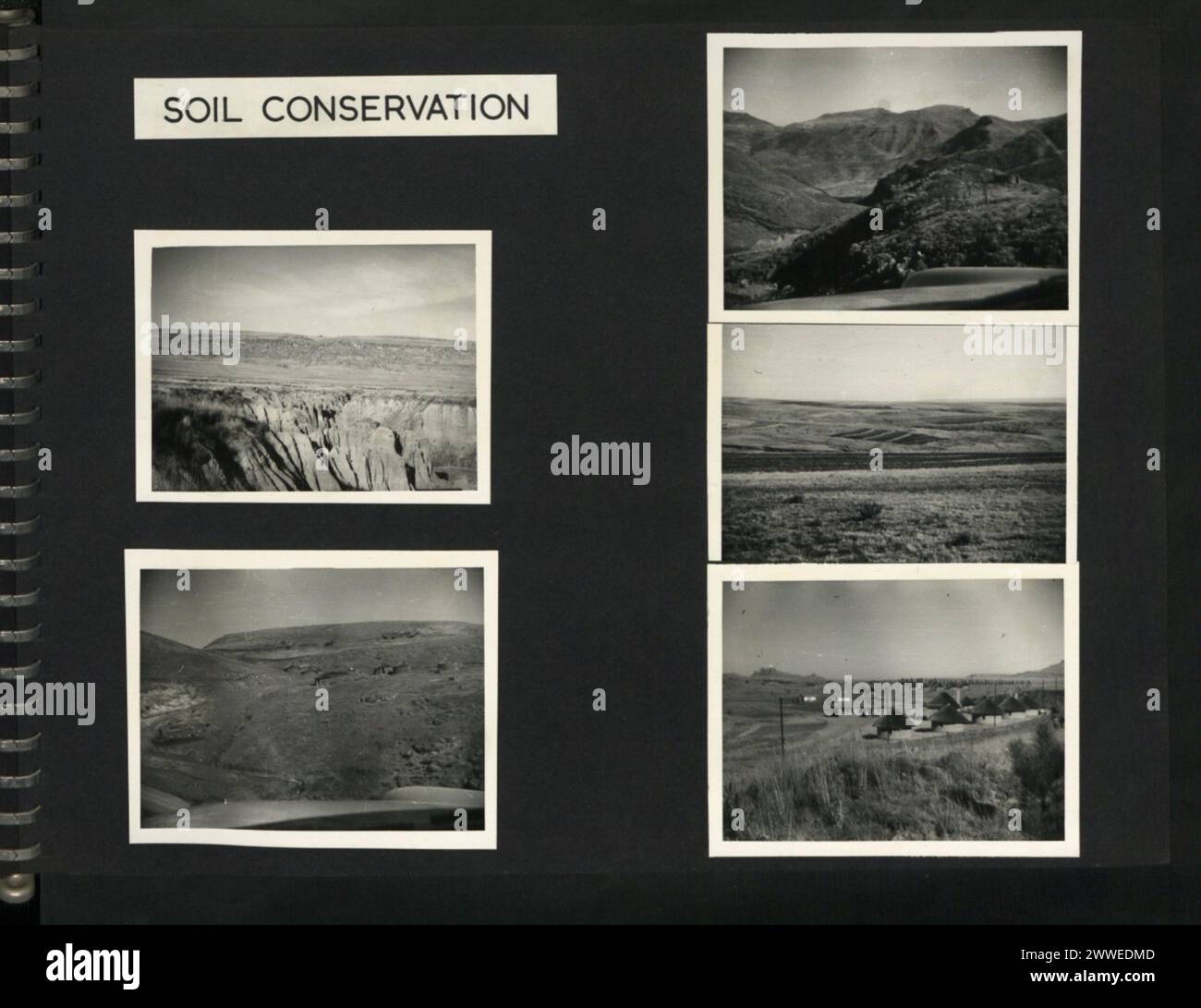 Les collines surpâturées et les dongas à Maseru sont gérés en utilisant la méthode de conservation des bandes, avec des pêches cultivées à 7 500 pieds et des activités scolaires agricoles présentes. Banque D'Images