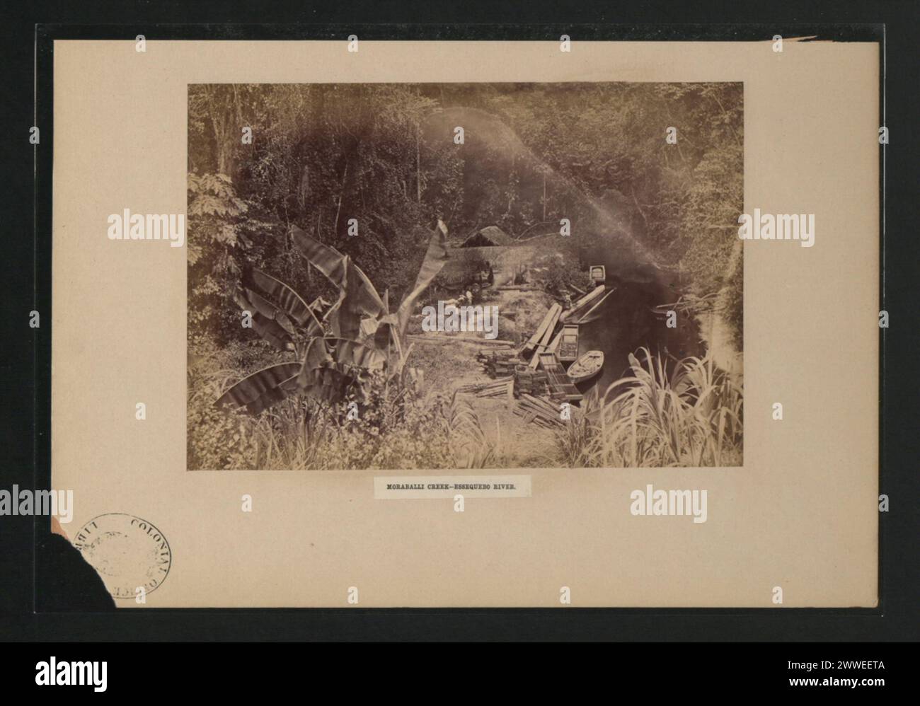 Moraballi Creek, qui fait partie du système de la rivière Essequebo en Guyane, 1878–1879, montrant le cours d'eau, les rives, la végétation, et le paysage rural environnant. Banque D'Images