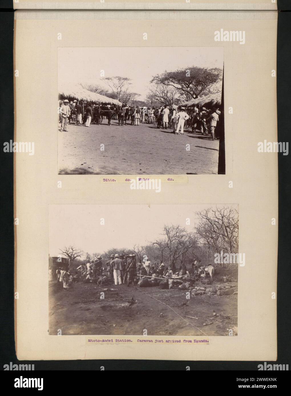 La gare de Mtoto-Andei accueille un camp de transport avec des mules et une caravane arrivant d'Ouganda, soutenant la logistique ferroviaire et les mouvements d'approvisionnement. Banque D'Images