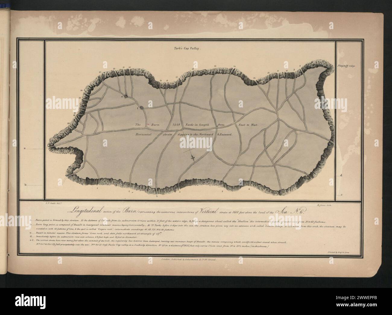 Coupe longitudinale de la grange dans Turk's Cap Valley, Sainte-Hélène, montrant les intersections de strates rocheuses verticales à 1600 pieds au-dessus du niveau de la mer en 1834. Banque D'Images
