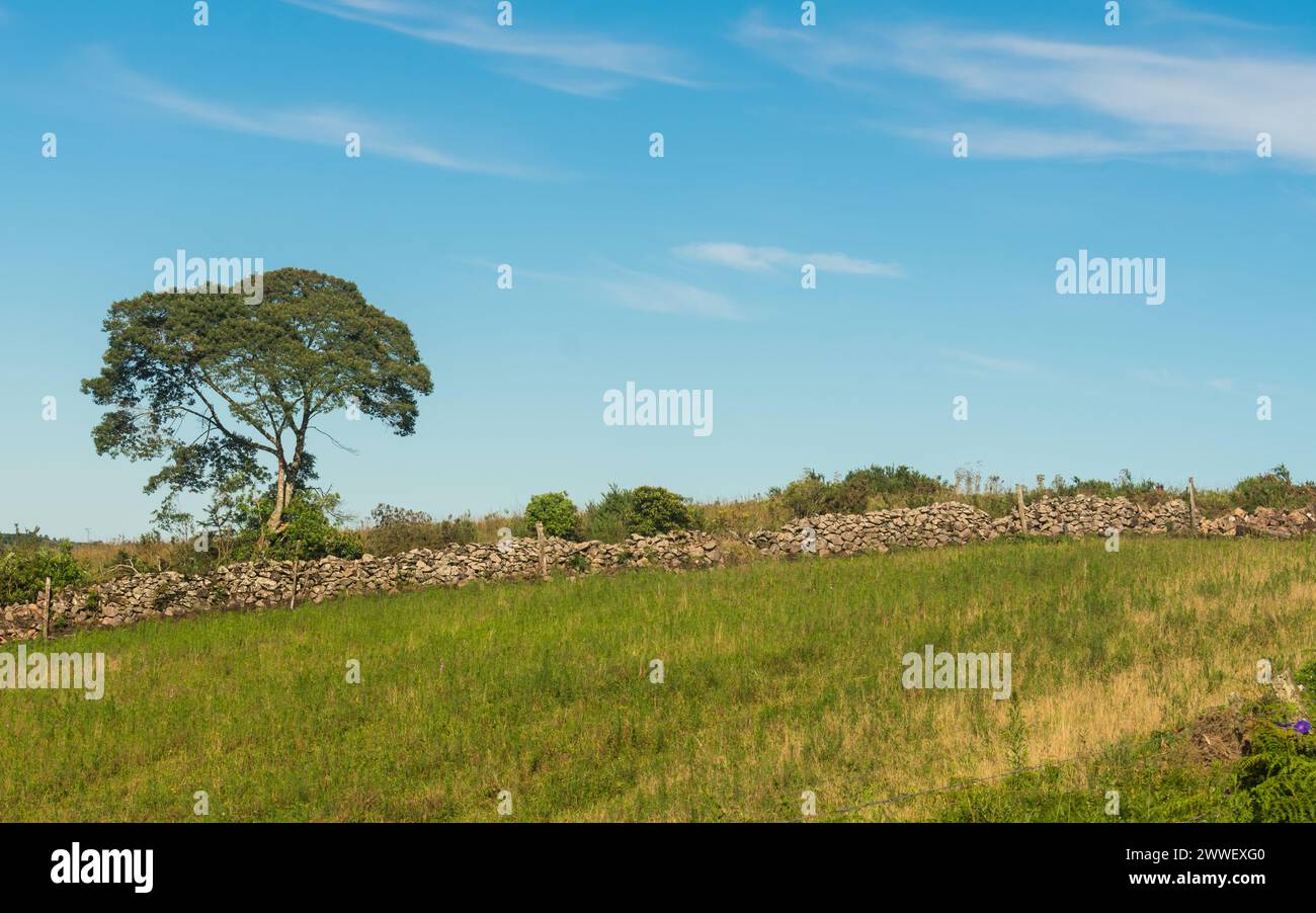 Muro de taipa (mur traditionnel en pierre ancienne) dans la campagne de Sao Francisco de Paula, au sud du Brésil Banque D'Images