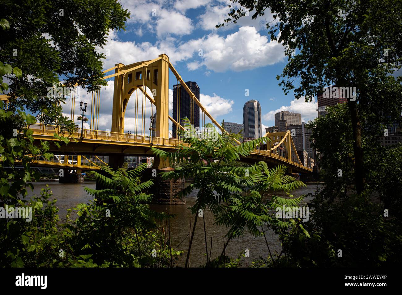 Par une journée ensoleillée, le vibrant pont Andy Warhol s'étend sur la rivière Allegheny, encadré par des feuilles vertes luxuriantes, avec le centre-ville de Pittsburgh Banque D'Images