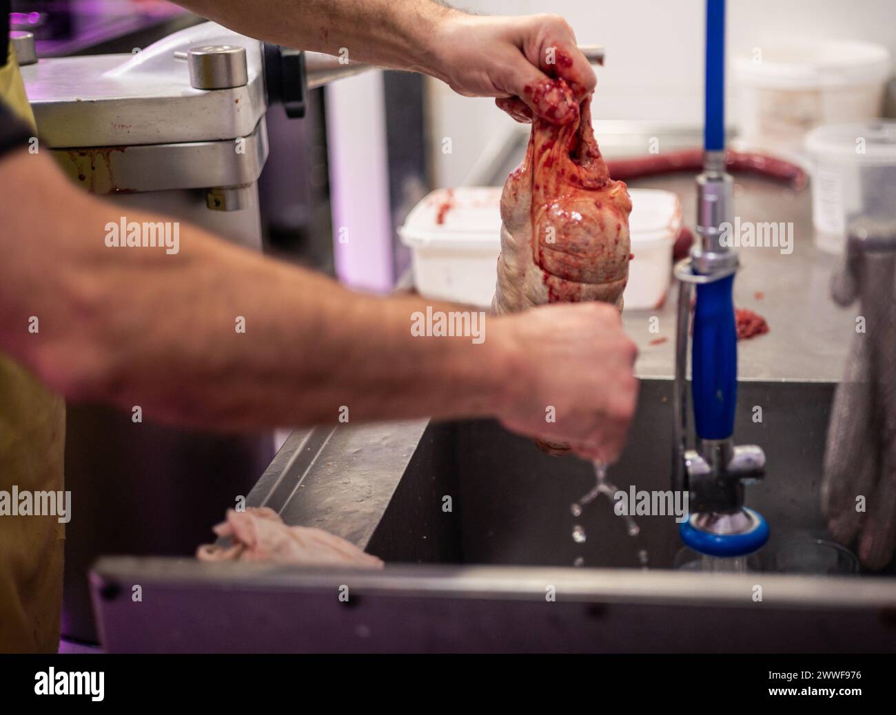 l'image en gros plan représente les mains d'un boucher lavant l'excès de sang et de viande d'un poulet farci dans un évier. L'attention à la propreté et DETA Banque D'Images