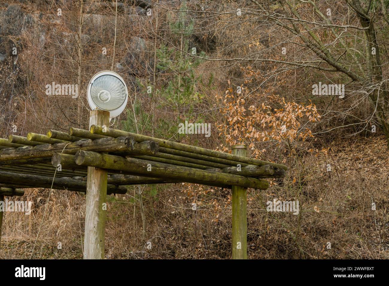 Lampe halogène devant la parabole de télévision par satellite sur le dessus de la structure en rondins dans le parc boisé à flanc de montagne en Corée du Sud Banque D'Images