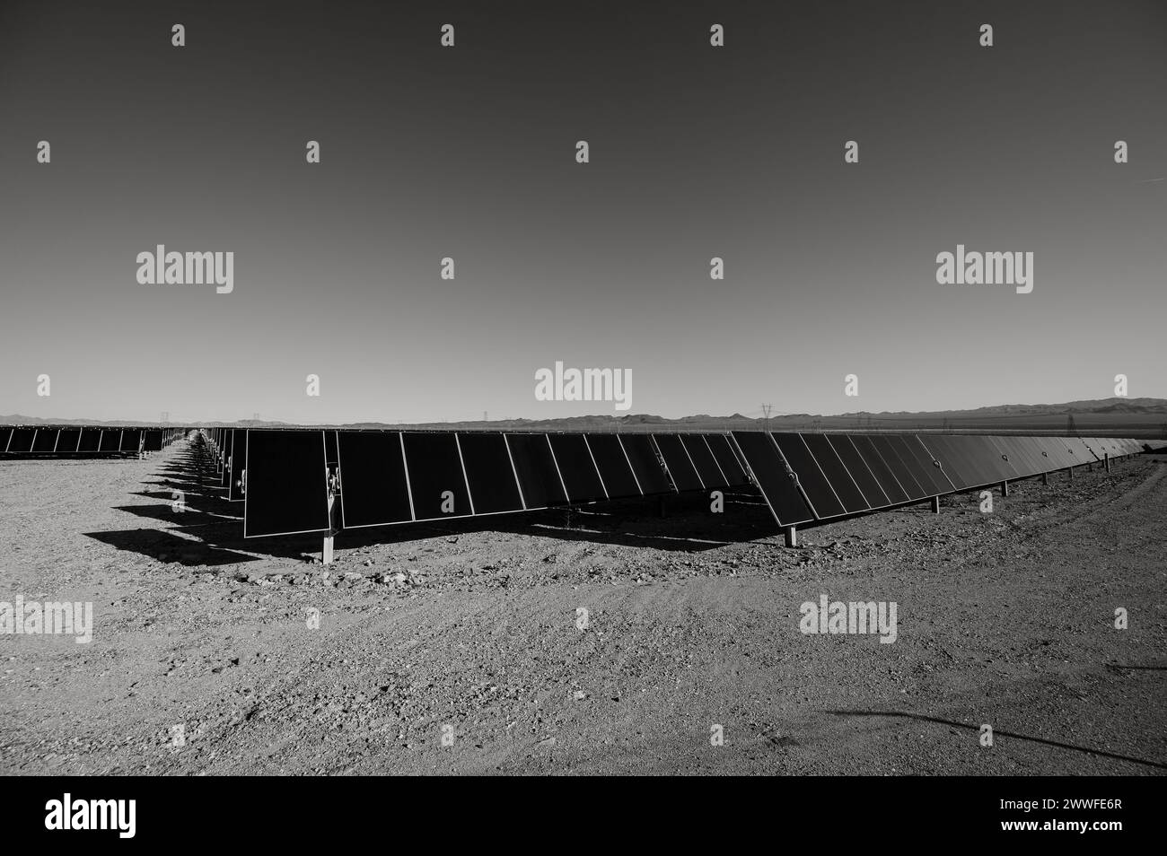 Fermes de panneaux solaires à l'extérieur de Las Vegas Nevada. Image en noir et blanc. Banque D'Images