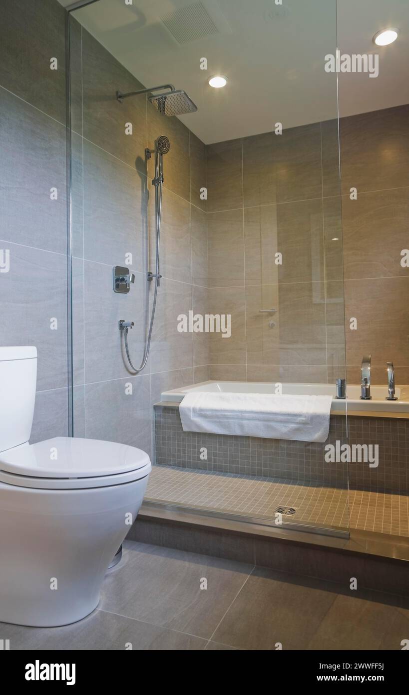 Toilettes en porcelaine blanche et baignoire dans une cabine de douche en verre dans la salle de bains avec sol en céramique grise et mur à l'étage à l'intérieur moderne Banque D'Images