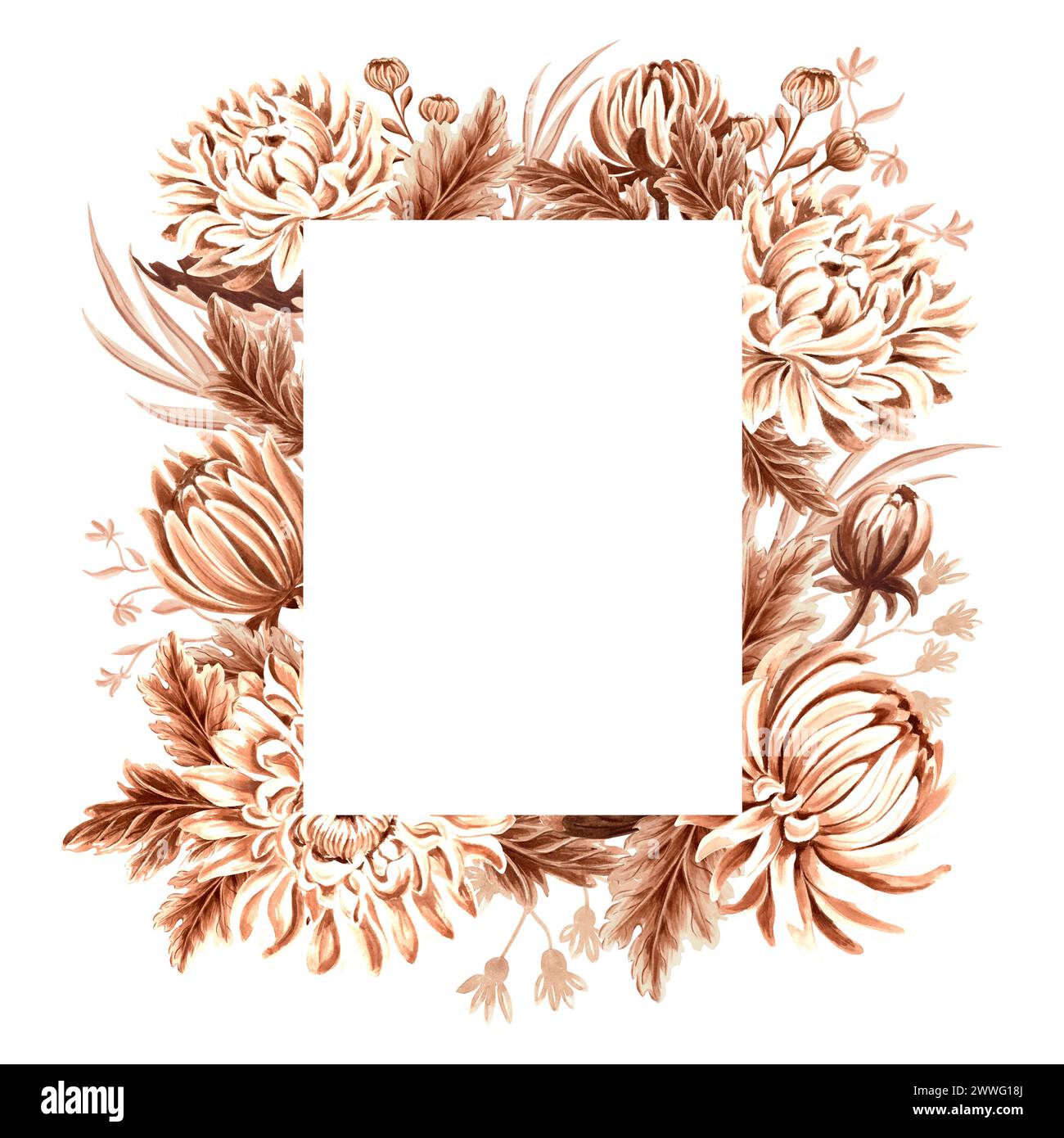 Cadre rectangulaire vintage de fleurs de chrysanthème. Illustration monochrome d'aquarelle d'automne dessinée à la main. Modèle de couronne de printemps floral isolé avec Banque D'Images