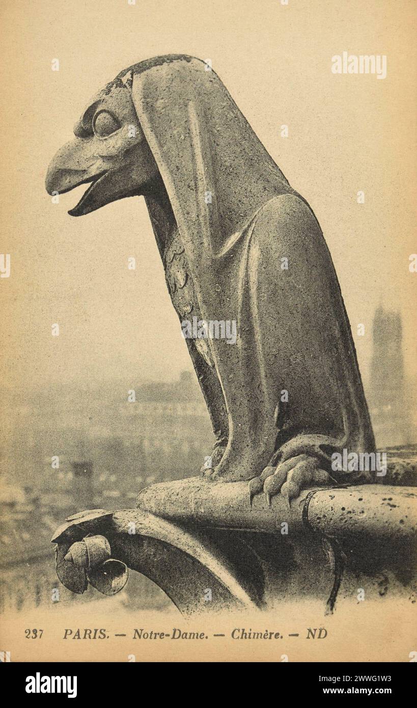 Photographies en noir et blanc des grotesques statues chimères sur le toit de la cathédrale notre-Dame de Paris, France CA. 1885 Banque D'Images