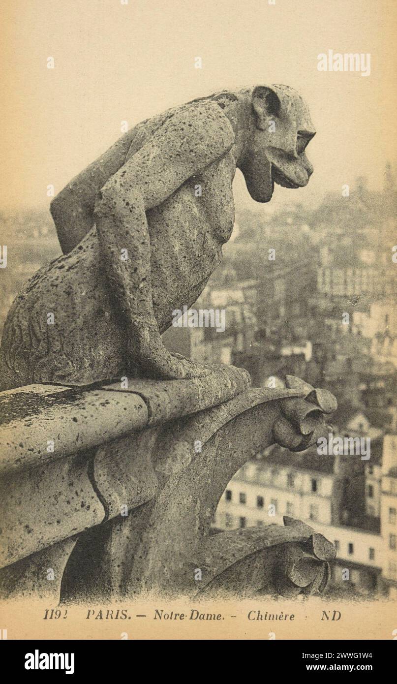 Photographies en noir et blanc des grotesques statues chimères sur le toit de la cathédrale notre-Dame de Paris, France CA. 1885 Banque D'Images