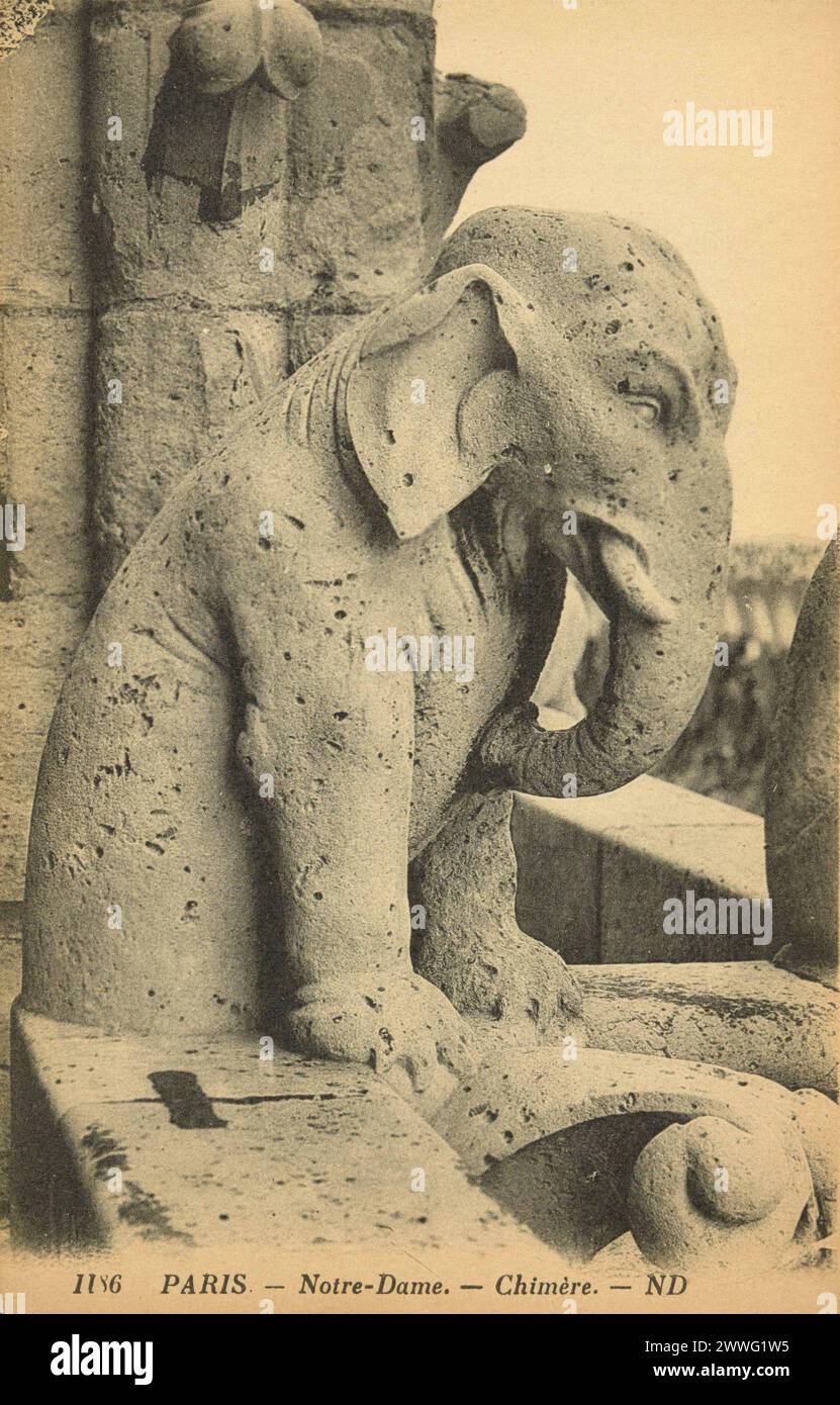 Carte postale noire et blanche d'une statue chimère grotesque sur le toit de la cathédrale notre-Dame de Paris, France, publiée en 1906 Banque D'Images