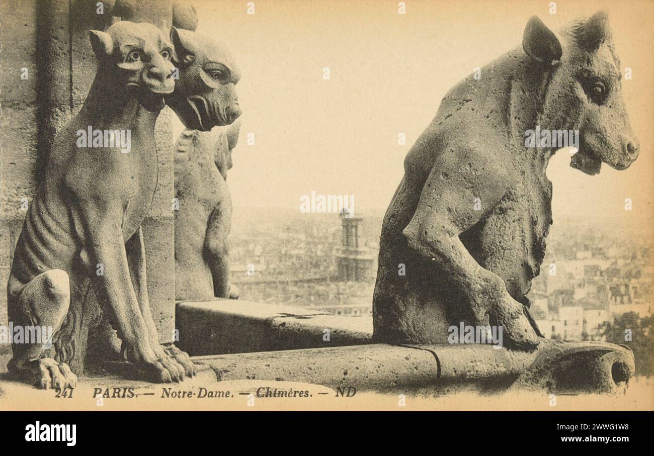 Carte postale noire et blanche de statues grotesques de chimères (chimères) sur le toit de la cathédrale notre-Dame de Paris, France, publiée en 1906 Banque D'Images