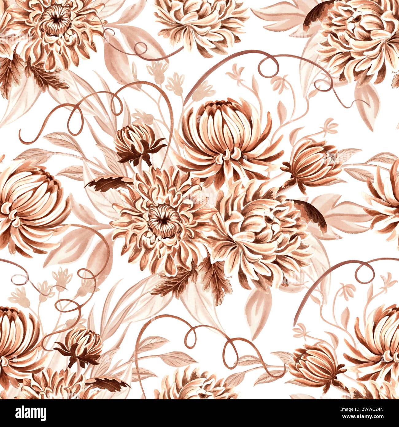 Modèle sans couture monochrome de chrysanthème avec des feuilles sur fond blanc. Illustration d'aquarelle dessinée à la main de couleur brune. Fleurs de jardin. Templa Banque D'Images
