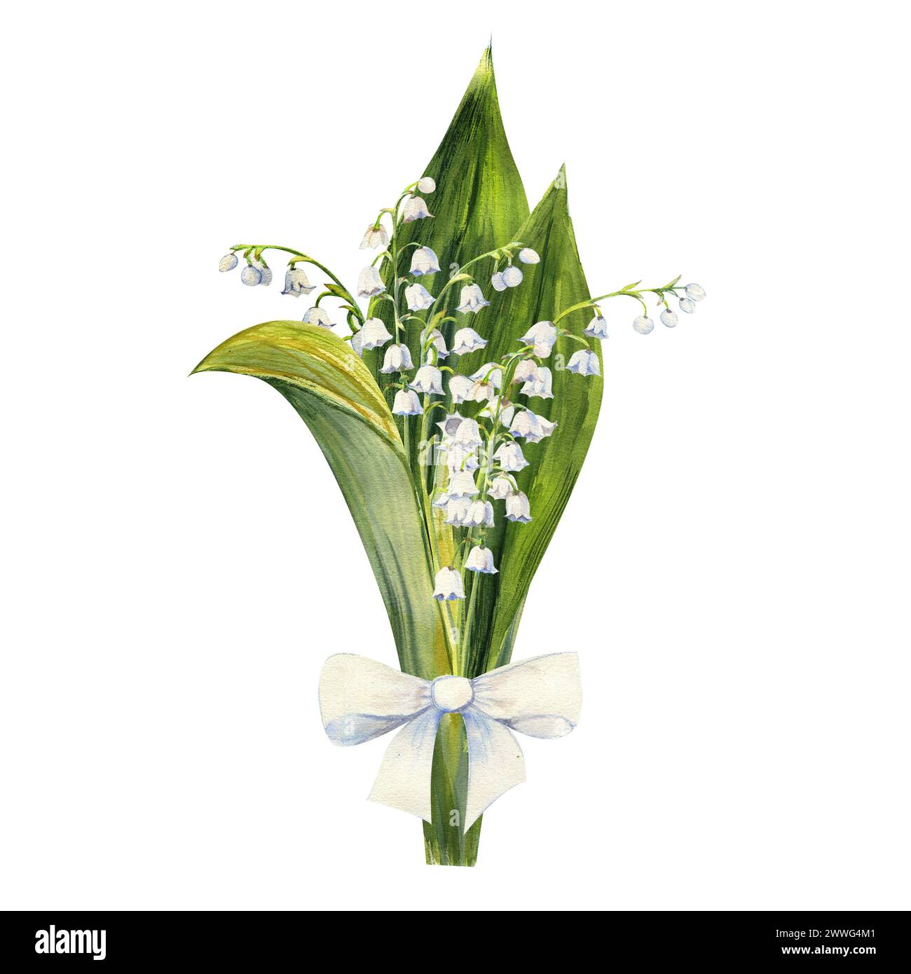 Bouquet de fleurs de lis de la vallée, dessiné à la main. Illustration aquarelle de fleurs de printemps. Banque D'Images