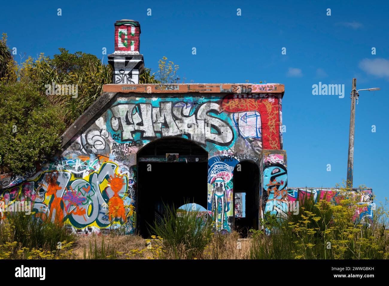 Emplacements de canons couverts de graffitis, Fort Balance, Wellington, Île du Nord, Nouvelle-Zélande. Des canons lourds protégeaient le port de Wellington pendant la seconde Guerre mondiale. Banque D'Images