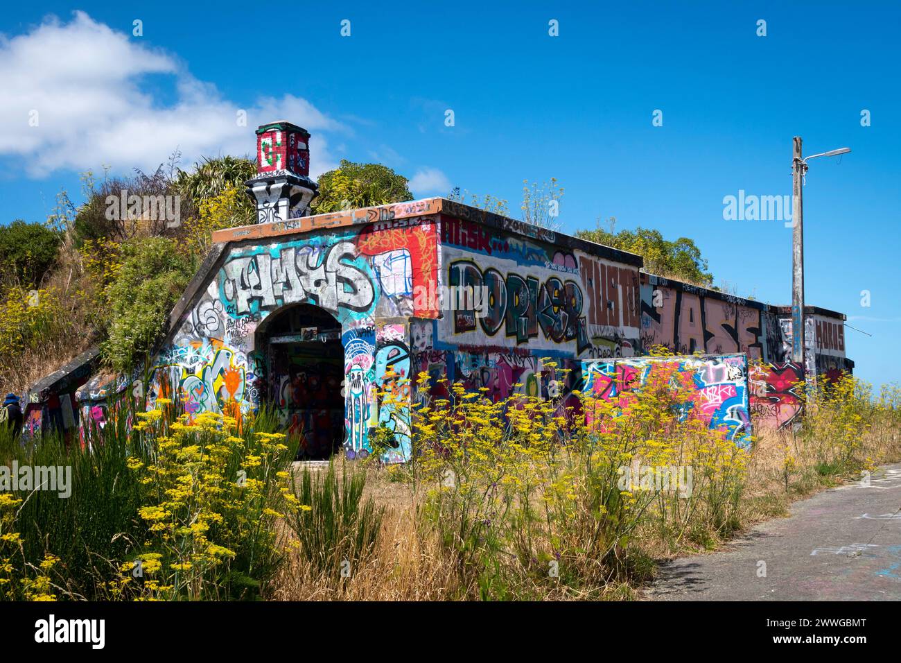 Emplacements de canons couverts de graffitis, Fort Balance, Wellington, Île du Nord, Nouvelle-Zélande. Des canons lourds protégeaient le port de Wellington pendant la seconde Guerre mondiale. Banque D'Images