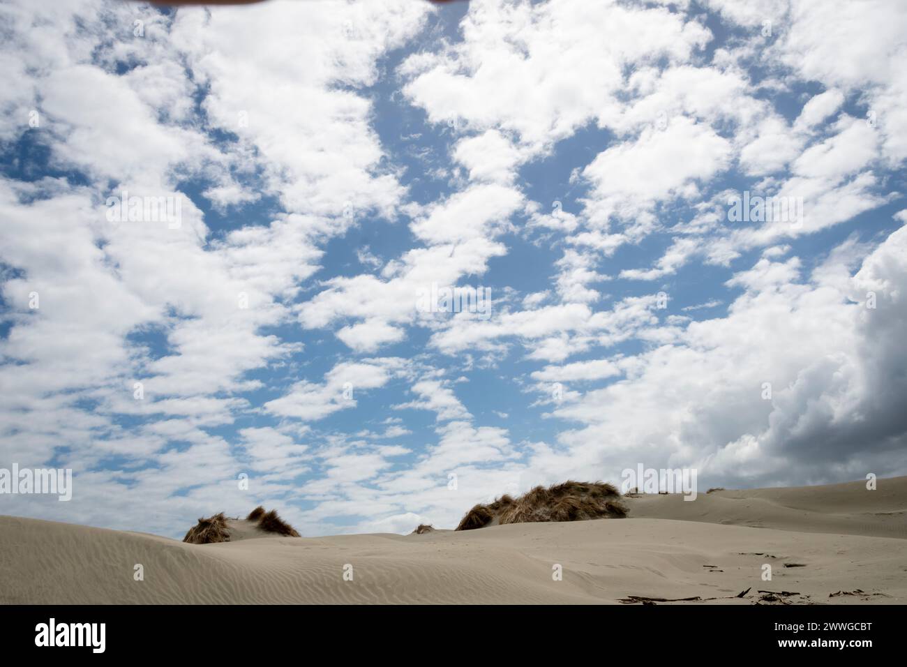 Nuages blancs dans le ciel bleu au-dessus des dunes de sable, Foxton, Manawatu, Île du Nord, Nouvelle-Zélande Banque D'Images