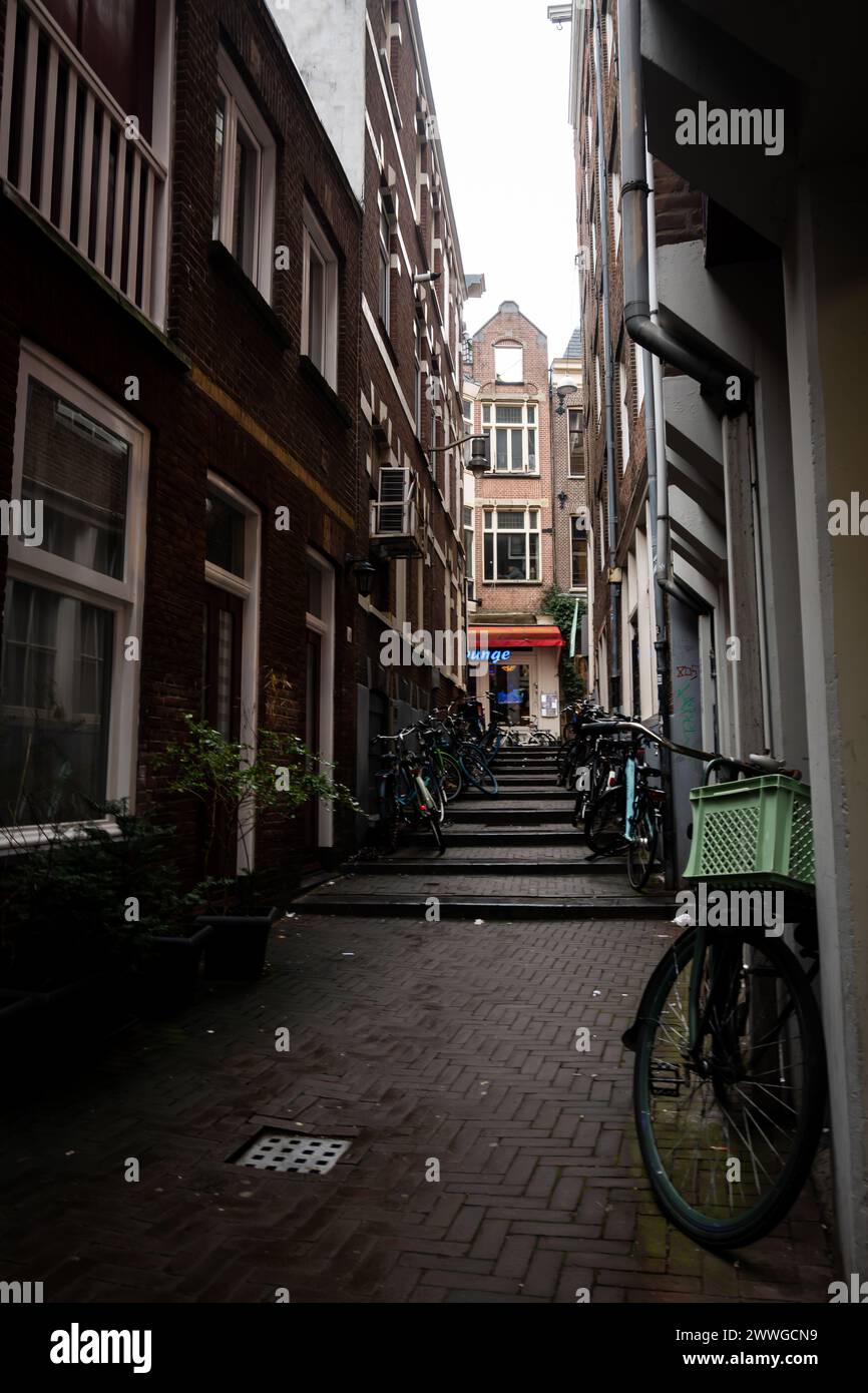 Une ruelle étroite d'Amsterdam bordée de vélos, suintant de charme urbain. Banque D'Images