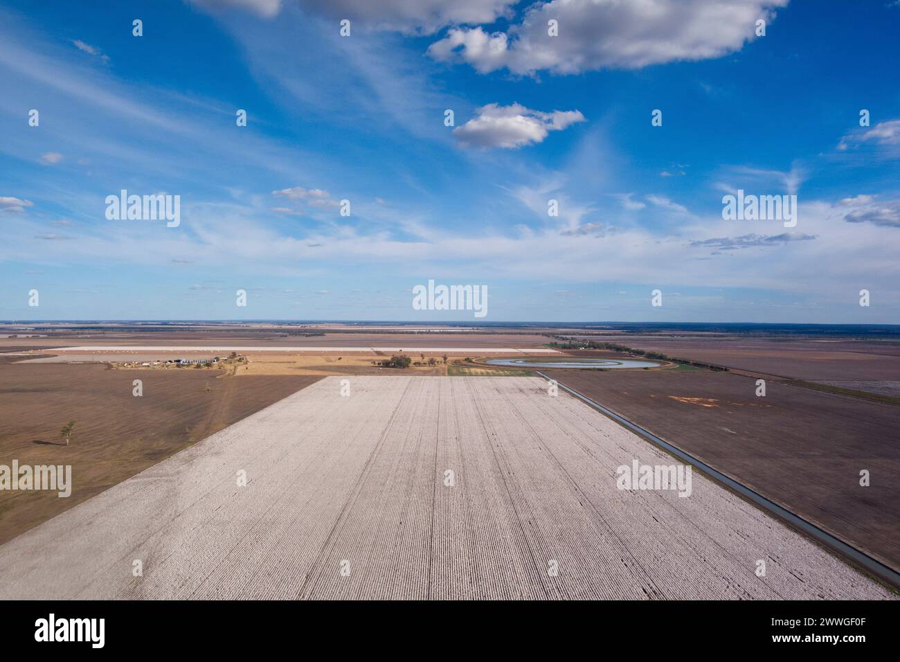 Aérien de champs de coton sur le point d'être récoltés près de Dalby Queensland Australie Banque D'Images