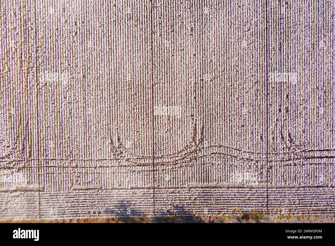 Antenne de modèles de roues de tracteur dans les champs de coton près de Dalby Queensland Australie Banque D'Images