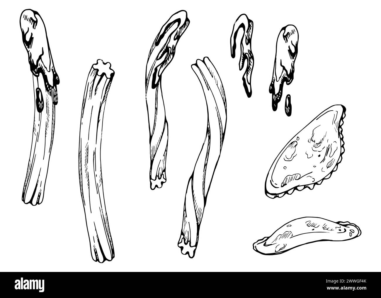 Illustration vectorielle d'encre dessinée à la main, churros de dessert de pâtisserie sucrée dans le chocolat, boulette de tarte fourrée empanadas chiffre d'affaires. Composition blanche isolée Illustration de Vecteur