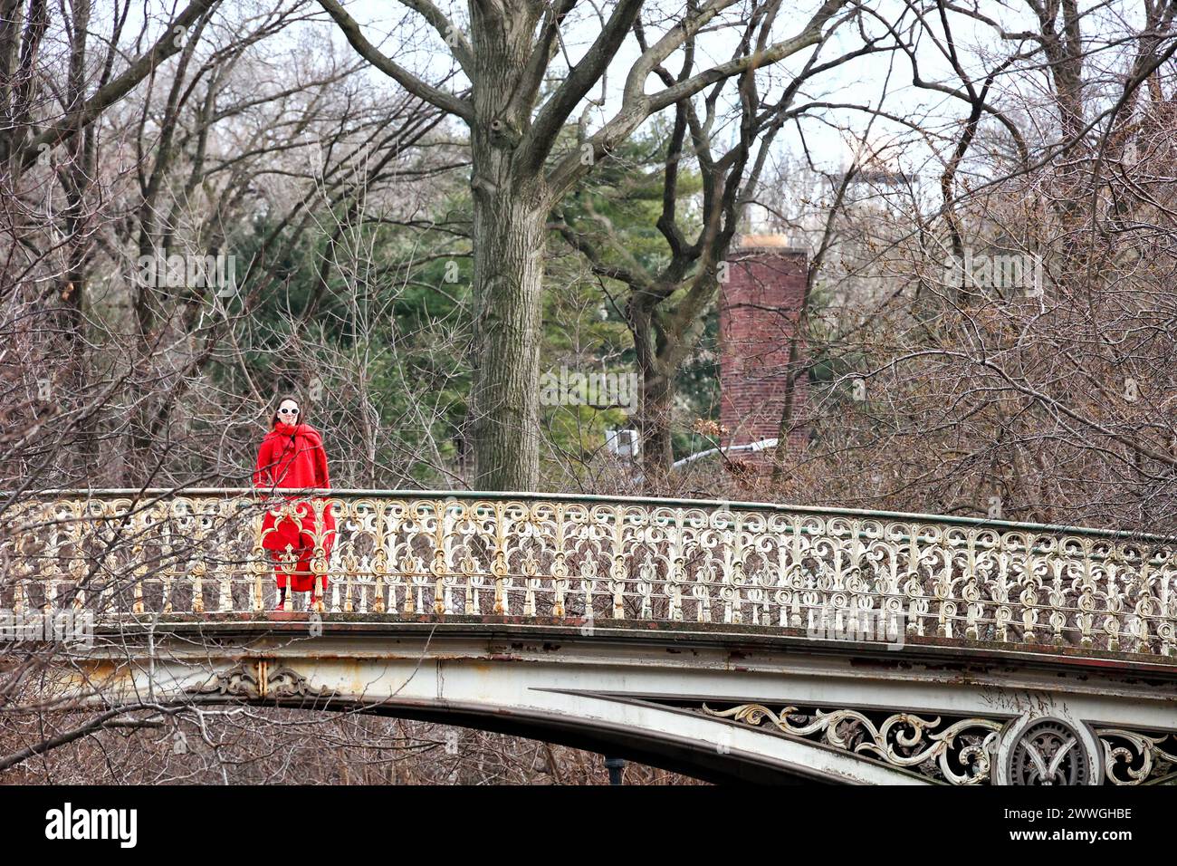 New York, États-Unis. 11 février 2024. Crédit : Nidpor/Alamy Live News Banque D'Images