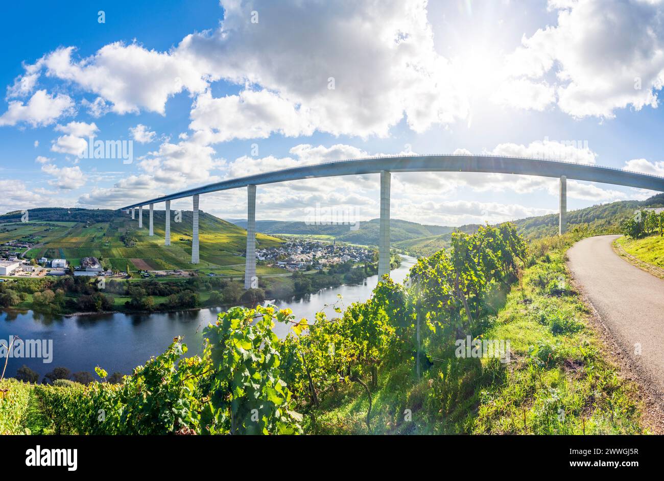 Zeltingen-Rachtig : Hochmoselbrücke (Pont de la haute Moselle), rivière Moselle (Moselle), vignoble, village Zeltingen-Rachtig à Moselle, Rhénanie-Palatinat, Rhinel Banque D'Images