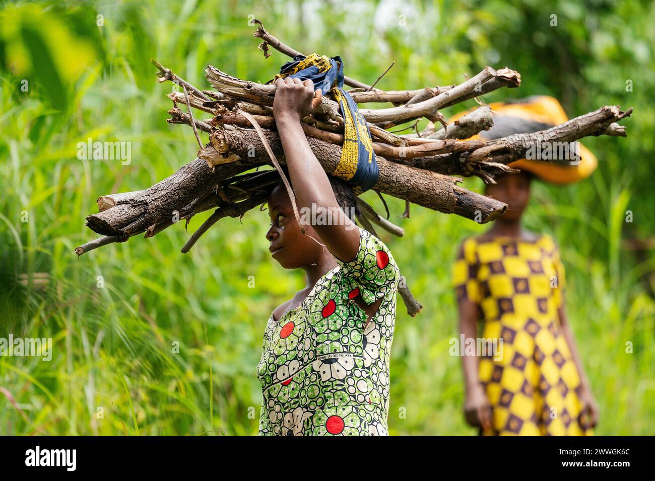 Une femme transporte du bois destiné à être utilisé comme combustible ou vendu au marché près du village de Manduwasa, dans la région de Machinga au Malawi. La déforestation est un problème car le manque d'arbres sur les montagnes de la région les a rendus plus vulnérables aux effets du changement climatique, car rien ne ralentit l'écoulement de l'eau dans les villages pendant les fortes pluies. Date de la photo : lundi 4 mars 2024. Banque D'Images