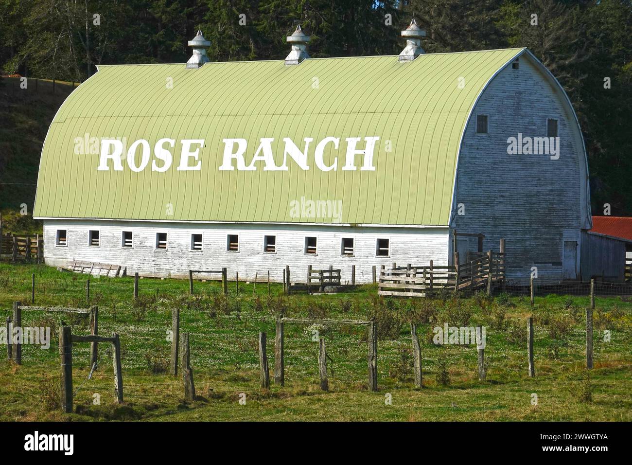 Grange en bois avec toit vert du Rose Ranch, US Hwy 101 au sud de South Bend, Washington, États-Unis Banque D'Images