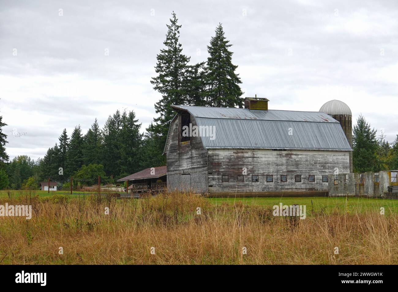 Ancienne grange en bois et silo de stockage, États-Unis Banque D'Images