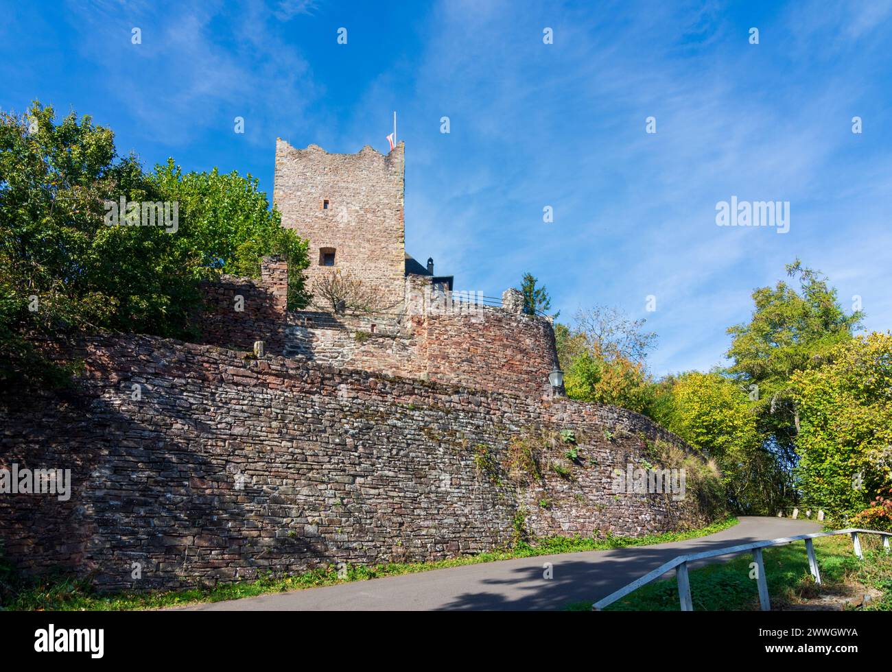 Alf : Château d'Arras à Moselle, Rhénanie-Palatinat, Allemagne Banque D'Images