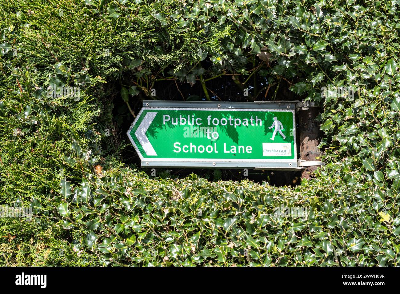 Panneau de sentier public dans une haie coupée Banque D'Images