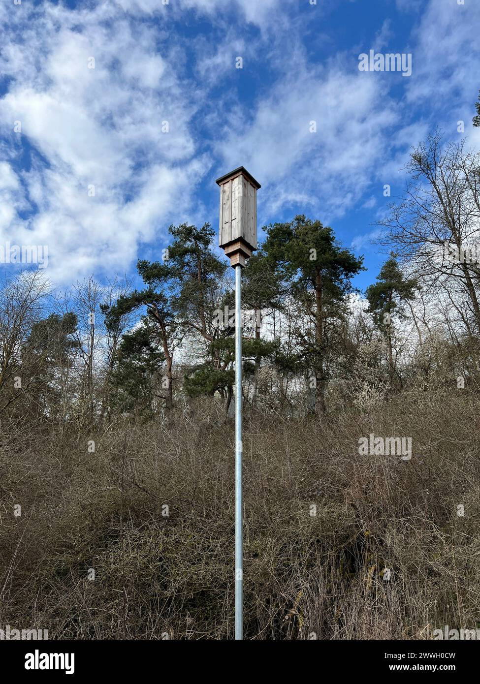 Fledermaushaus, fuer diese Bedrohte Tierart sind kuenstliche Nistplaetze dringend noetig. Maison de chauve-souris, lieux de nidification artificiels sont urgemment nécessaires pour Banque D'Images